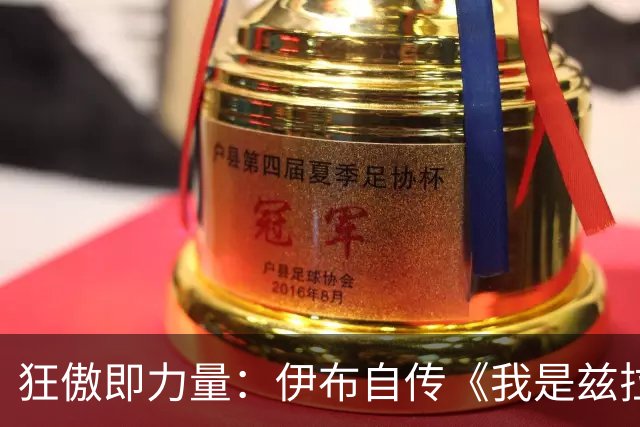 狂傲即力量：伊布自传《我是兹拉坦》中的不羁人生
